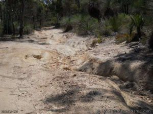 This looks rough, Near the Powerlines Track