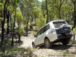 This was steep :-), Near the Powerlines Track