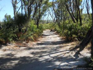 The track into Lake Jasper camp ground