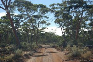 The road less travelled, near the Helena Aurora Ranges
