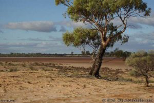 Lake Giles, Western Australia