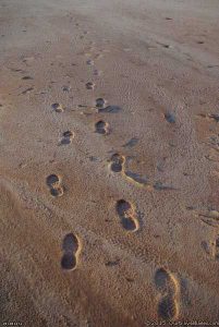 Leave nothing but footprints .....