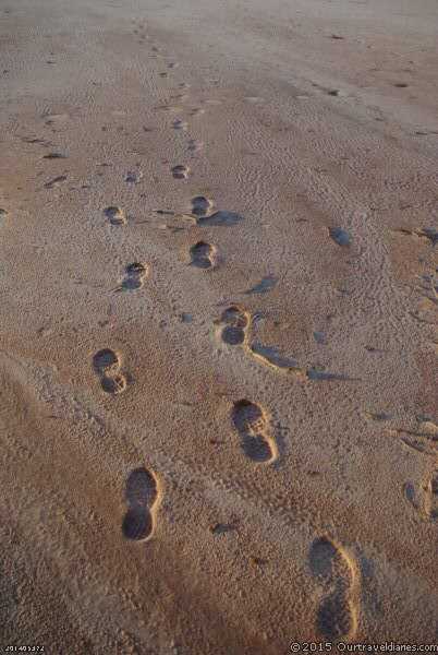 Leave nothing but footprints .....