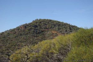 The peak of Mount Elvire