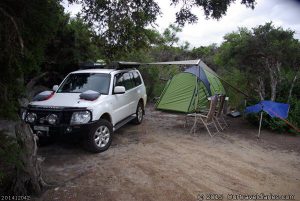 Our Seal Creek campsite