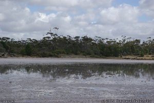 Salt Lake near Juranda Rockhole