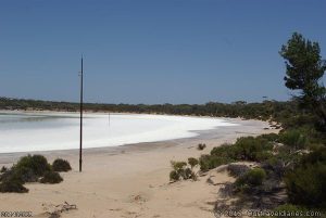 Telegraph poles crossing a Salt Lake in the Dunas Nature Reserve