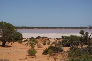 Pink salt lake, Dunas Nature Reserve