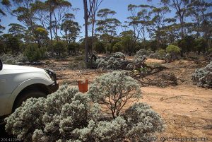 Winching another tree old Hyden-Norseman Road