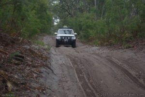 Wapet Track, Near Lake Jasper, Western Australia