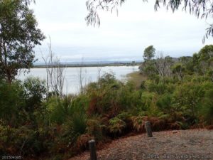 Lake Jasper from the Camp Ground