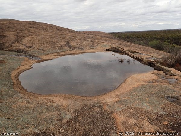 Gnamma hole on McDermid Rock