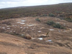 Pools of water on McDermid Rock