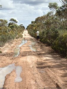 No, it was not to be, another puddle to check before driving through