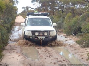 Now for something different - a puddle