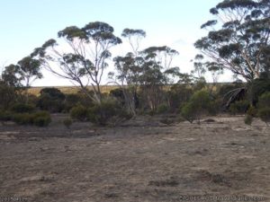 Perfect camp spot, Dunns Track