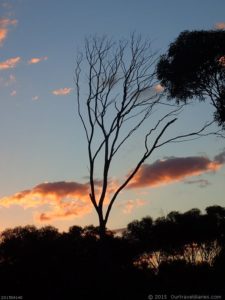 Sunset at our camp - Dunns Track 2015