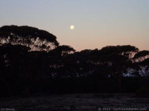 Moonrise on Dunns Track