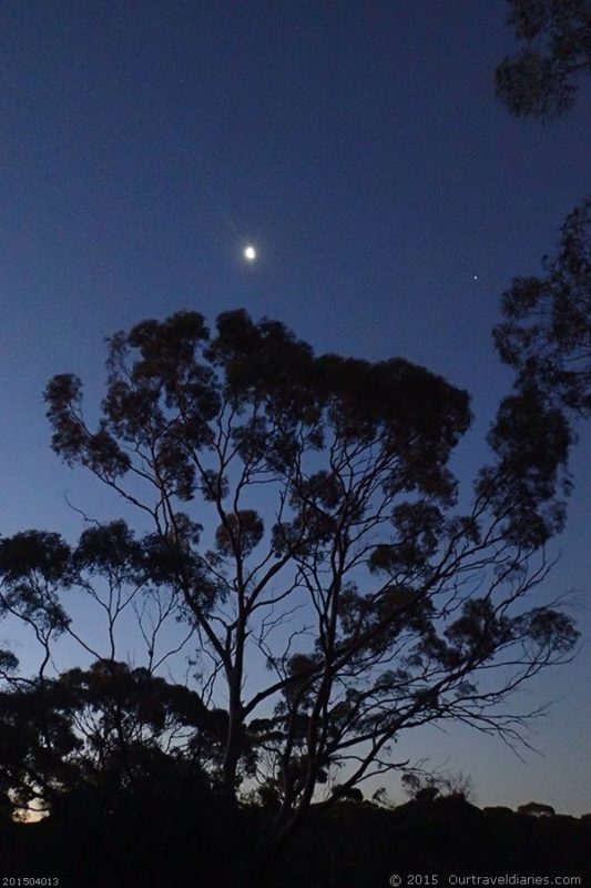 Bad moon rising? not out here. Another perfect moonlit night, Cave Hill