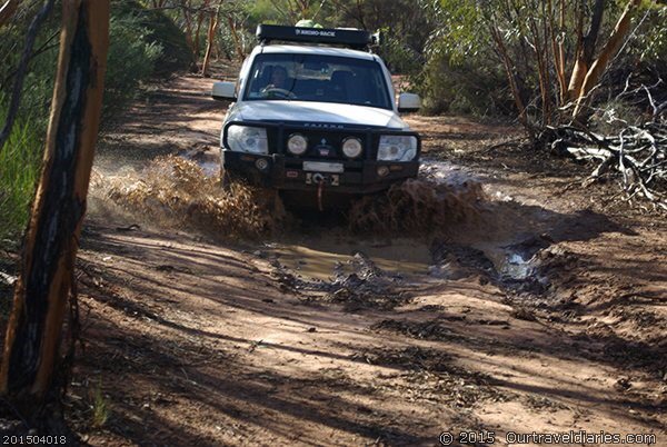 Wet road conditions along the Cave Hill Woodlines Track