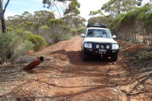 Telegraph Track along side the Norseman Kalgoorlie Road.