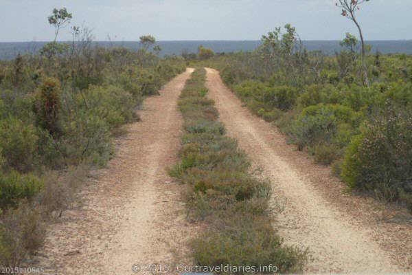 The track ahead. Coujinup Track