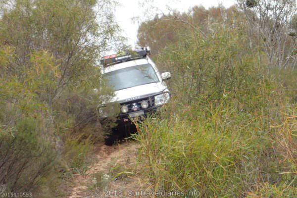 About to cross the Oldfield River. Coujinup Track