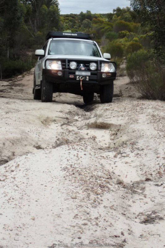 Along the Coujinup Track