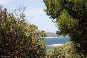 The view from our lounge - Fanny Cove