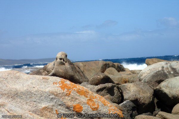 Is it a walrus? no it's a rock - Fanny Cove