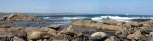 The rocky shore - Fanny Cove, Stokes National Park