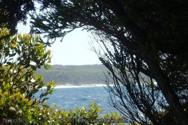 Looking out toward Quagi Beach from our camp - Fanny Cove