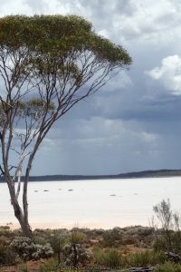 Lake Dundas