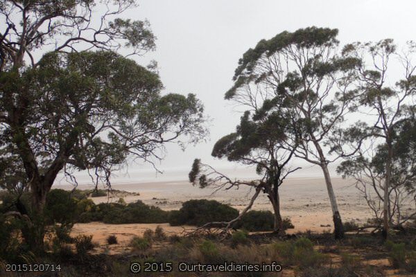 Looking out at the rain on Lake Dundas - Norseman