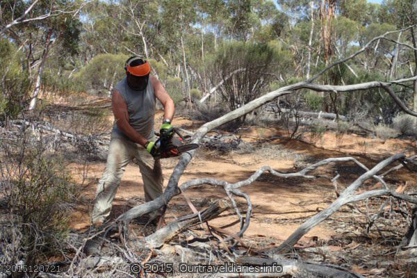 Clearing a tree from the old Hyden - Norseman Road