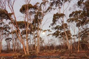 Moonrise - Full moon on 25 Dec 2015 at Breakaways camp