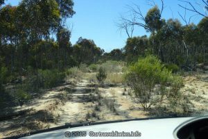 The track we took off the Hyden - Norseman Road toward Hatter Hill