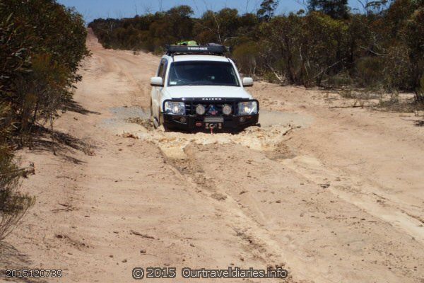 The only sign of recent rains along the Marvel Loch - Forrestania Road