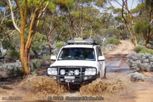 A little puddle near the western end of the Old Hyden-Norseman Road