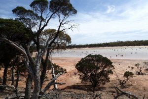 One of the many salt lakes out this way