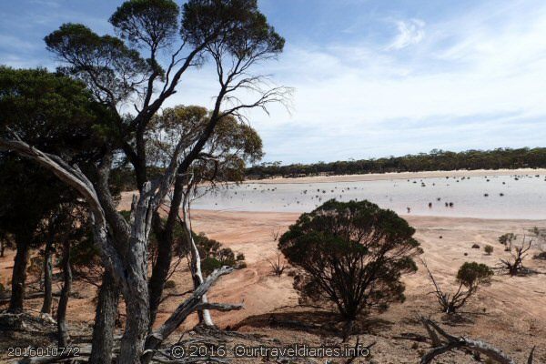 One of the many salt lakes out this way