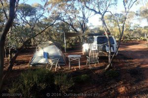 Morning at our camp south west of Twenty Five Mile