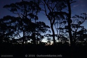 Woodlands Rest area west of Norseman WA