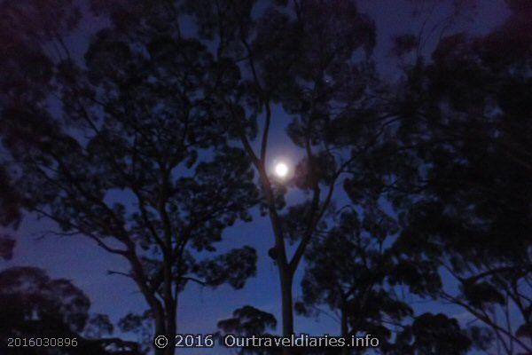 Full Moon, Woodlands Rest area west of Norseman WA