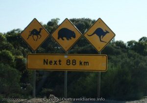Caution, these animals can be on the road, Eyre Hwy, Nullabor Plain, South Australia