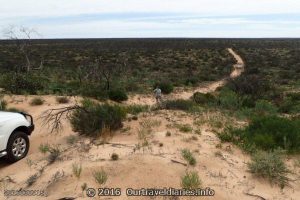 The track ahead, Googs Track, South Australia