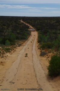 Small puddle in between sand dunes, Googs Track, South Australia