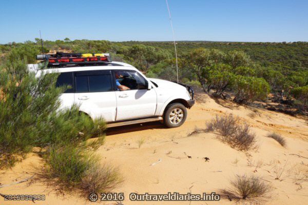 At the top of a sand dune, Googs Track, South Australia