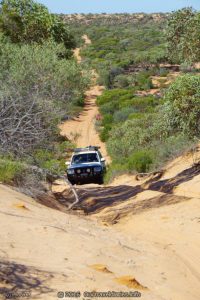 Climbing a sand dune, Googs Track, South Australia