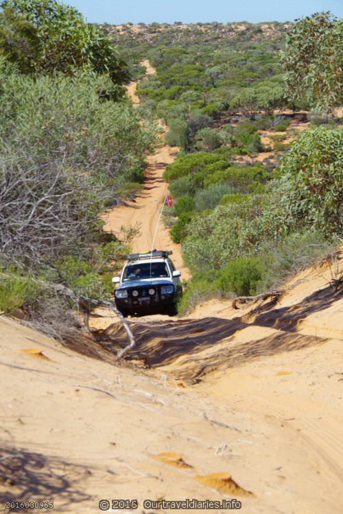 Climbing a sand dune, Googs Track, South Australia